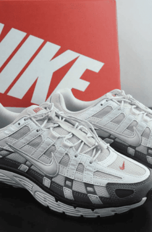 Tênis Nike P-6000 (Marrom)